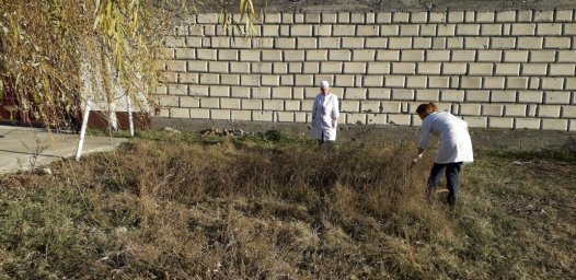 Субботник 3