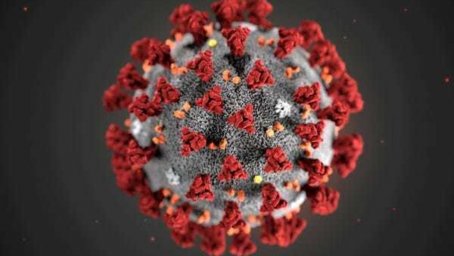ВОЗ (Всемирная организация здравоохранения) называет четыре основные группы риска заражения новым коронавирусом