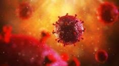 Уже второго человека смогли вылечить от ВИЧ-инфекции. Скоро научатся лечить всех? (Увы, нет)